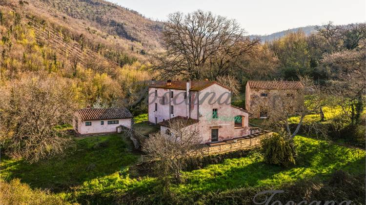Autentica e antica fattoria toscana 