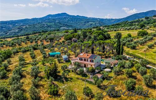 Casale toscano ristrutturato con due appartamenti, dependance, uliveto e 3 ettari di terreno