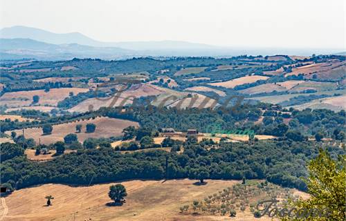 Appartamento In Vendita a Campagnatico